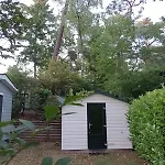 Forrest In Bosrijke Omgeving De Veluwe - Met Terras, Tuin En Fietsschuurtje * 宁斯佩特