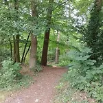 营地 Forrest In Bosrijke Omgeving De Veluwe - Met Terras, Tuin En Fietsschuurtje *