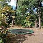 Forrest In Bosrijke Omgeving De Veluwe - Met Terras, Tuin En Fietsschuurtje 营地 *