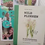 Kemping Forrest In Bosrijke Omgeving De Veluwe - Met Terras, Tuin En Fietsschuurtje Nunspeet