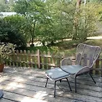 Forrest In Bosrijke Omgeving De Veluwe - Met Terras, Tuin En Fietsschuurtje 营地 *