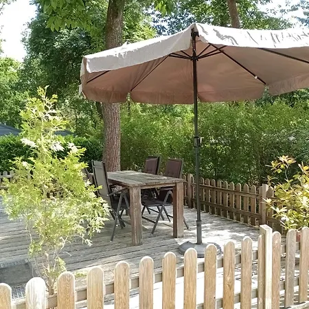Tiny Koolmees Op De Veluwe *