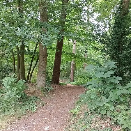 Parque de Campismo Forrest In Bosrijke Omgeving De Veluwe - Met Terras, Tuin En Fietsschuurtje *