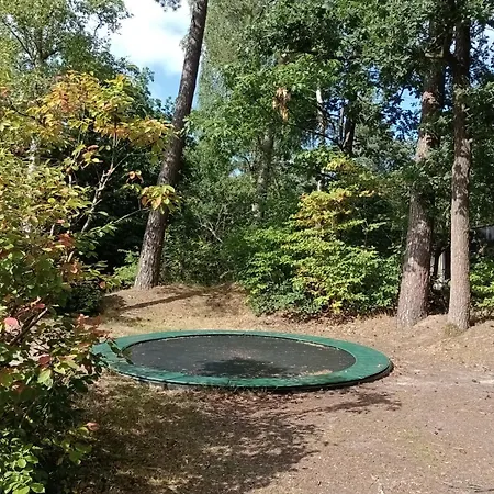 Forrest In Bosrijke Omgeving De Veluwe - Met Terras, Tuin En Fietsschuurtje 营地 *