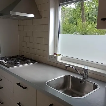 Tiny Koolmees Op De Veluwe * Nunspeet