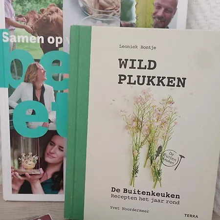 营地 Forrest In Bosrijke Omgeving De Veluwe - Met Terras, Tuin En Fietsschuurtje 宁斯佩特