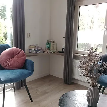 Tiny Koolmees Op De Veluwe * Nunspeet