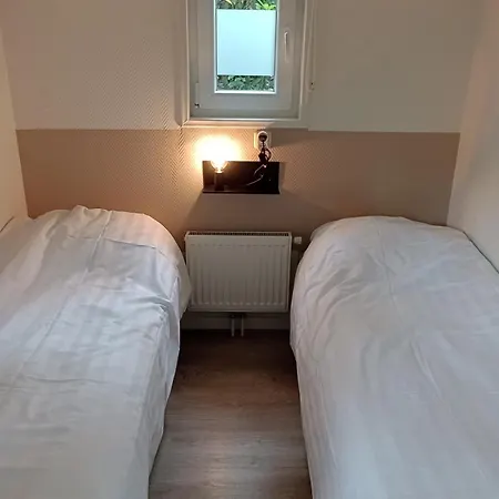 Tiny Koolmees Op De Veluwe Nunspeet