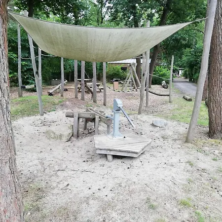 Tiny Koolmees Op De Veluwe Nunspeet