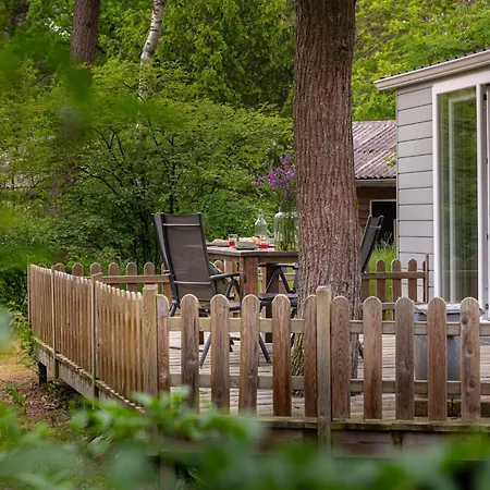 Forrest In Bosrijke Omgeving De Veluwe - Met Terras, Tuin En Fietsschuurtje 宁斯佩特