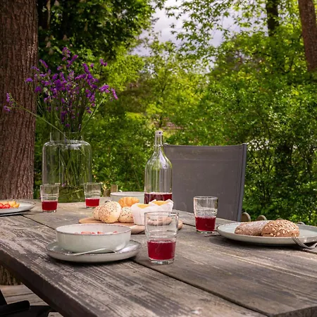 Campsite Forrest In Bosrijke Omgeving De Veluwe - Met Terras, Tuin En Fietsschuurtje Nunspeet