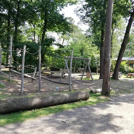 Forrest In Bosrijke Omgeving De Veluwe - Met Terras, Tuin En Fietsschuurtje