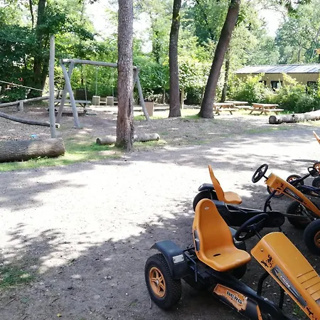 キャンプ場 Forrest In Bosrijke Omgeving De Veluwe - Met Terras, Tuin En Fietsschuurtje