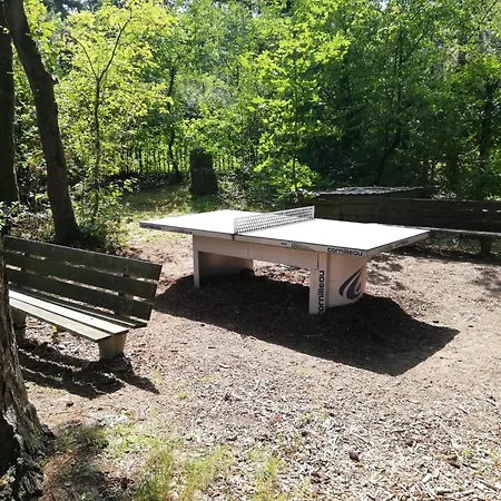 Forrest In Bosrijke Omgeving De Veluwe - Met Terras, Tuin En Fietsschuurtje *
