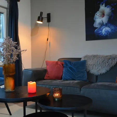 Forrest In Bosrijke Omgeving De Veluwe - Met Terras, Tuin En Fietsschuurtje *