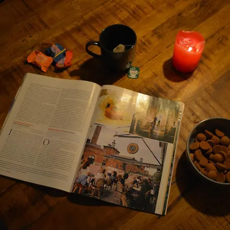 Forrest In Bosrijke Omgeving De Veluwe - Met Terras, Tuin En Fietsschuurtje * Nunspeet
