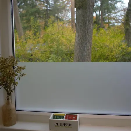 Forrest In Bosrijke Omgeving De Veluwe - Met Terras, Tuin En Fietsschuurtje *