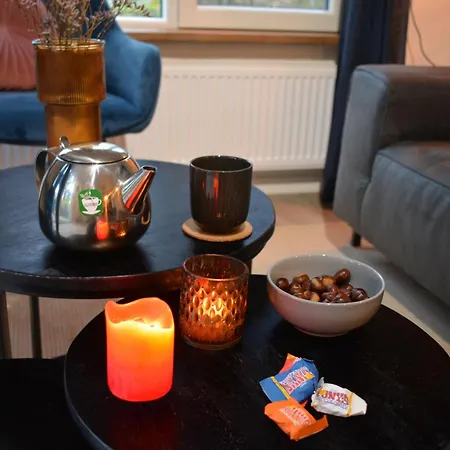 Forrest In Bosrijke Omgeving De Veluwe - Met Terras, Tuin En Fietsschuurtje キャンプ場