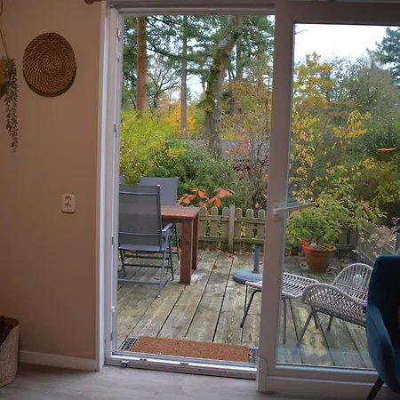Forrest In Bosrijke Omgeving De Veluwe - Met Terras, Tuin En Fietsschuurtje キャンプ場 ヌンスペート