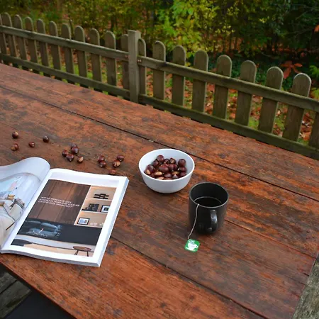 Forrest In Bosrijke Omgeving De Veluwe - Met Terras, Tuin En Fietsschuurtje *