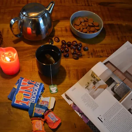 Forrest In Bosrijke Omgeving De Veluwe - Met Terras, Tuin En Fietsschuurtje Nunspeet