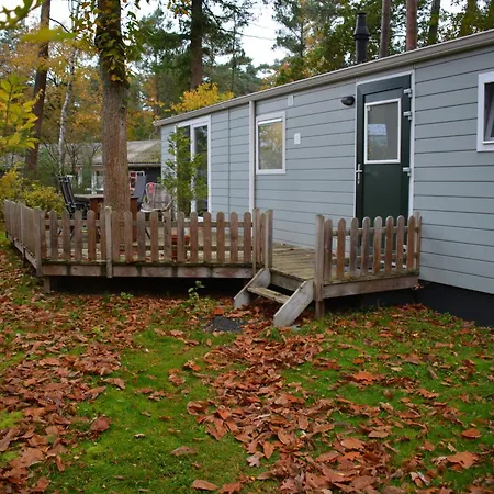 Forrest In Bosrijke Omgeving De Veluwe - Met Terras, Tuin En Fietsschuurtje