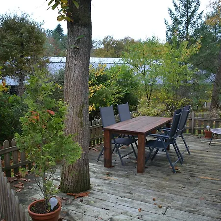 Forrest In Bosrijke Omgeving De Veluwe - Met Terras, Tuin En Fietsschuurtje *