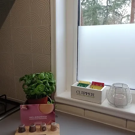 Forrest In Bosrijke Omgeving De Veluwe - Met Terras, Tuin En Fietsschuurtje * Nunspeet