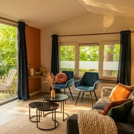 Forrest In Bosrijke Omgeving De Veluwe - Met Terras, Tuin En Fietsschuurtje