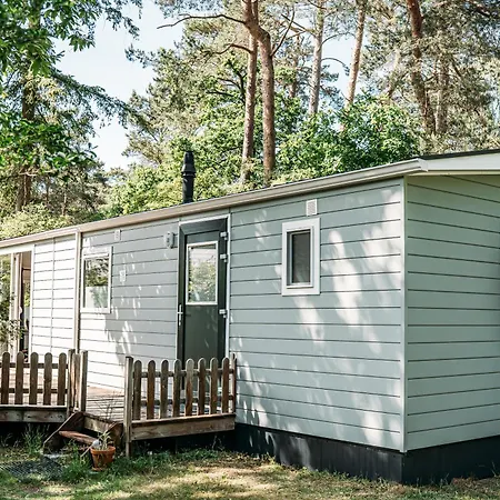 Forrest In Bosrijke Omgeving De Veluwe - Met Terras, Tuin En Fietsschuurtje 넌스피트