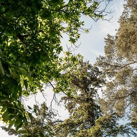 Forrest In Bosrijke Omgeving De Veluwe - Met Terras, Tuin En Fietsschuurtje 캠프장 넌스피트