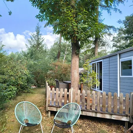 Forrest In Bosrijke Omgeving De Veluwe - Met Terras, Tuin En Fietsschuurtje