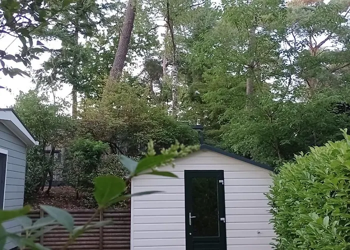 Forrest In Bosrijke Omgeving De Veluwe - Met Terras, Tuin En Fietsschuurtje * Nunspeet