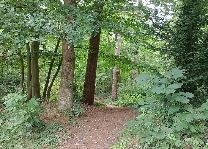 אתר קמפינג Forrest In Bosrijke Omgeving De Veluwe - Met Terras, Tuin En Fietsschuurtje *
