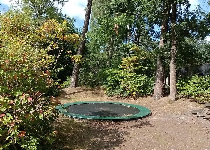 Forrest In Bosrijke Omgeving De Veluwe - Met Terras, Tuin En Fietsschuurtje Campingplads *