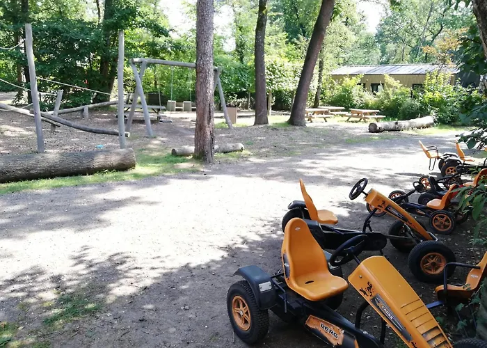 אתר קמפינג Forrest In Bosrijke Omgeving De Veluwe - Met Terras, Tuin En Fietsschuurtje
