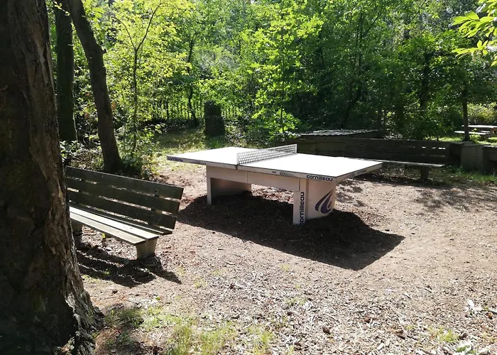 Forrest In Bosrijke Omgeving De Veluwe - Met Terras, Tuin En Fietsschuurtje *