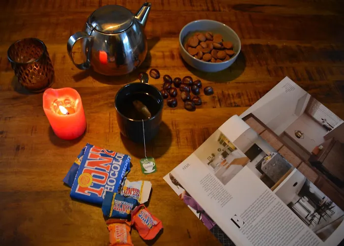 Forrest In Bosrijke Omgeving De Veluwe - Met Terras, Tuin En Fietsschuurtje נונספייט