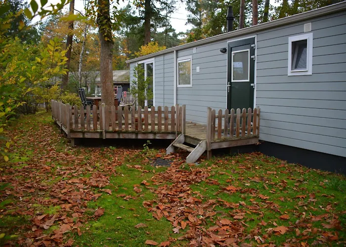 Forrest In Bosrijke Omgeving De Veluwe - Met Terras, Tuin En Fietsschuurtje