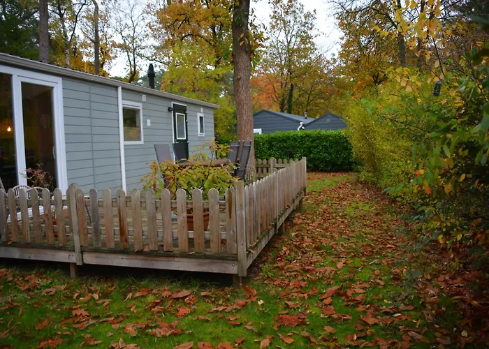 Кемпинг Forrest In Bosrijke Omgeving De Veluwe - Met Terras, Tuin En Fietsschuurtje Нюнспет