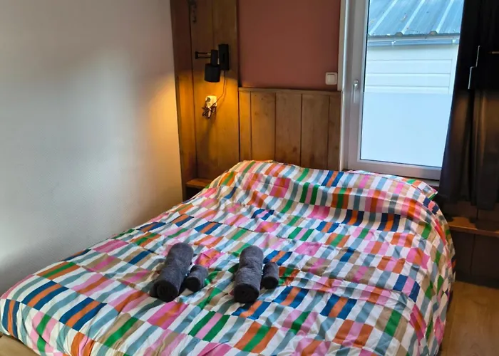 אתר קמפינג Forrest In Bosrijke Omgeving De Veluwe - Met Terras, Tuin En Fietsschuurtje