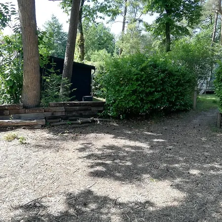 营地 Forrest In Bosrijke Omgeving De Veluwe - Met Terras, Tuin En Fietsschuurtje *