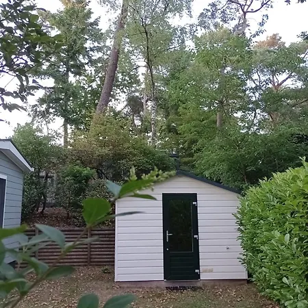 Forrest In Bosrijke Omgeving De Veluwe - Met Terras, Tuin En Fietsschuurtje * 宁斯佩特