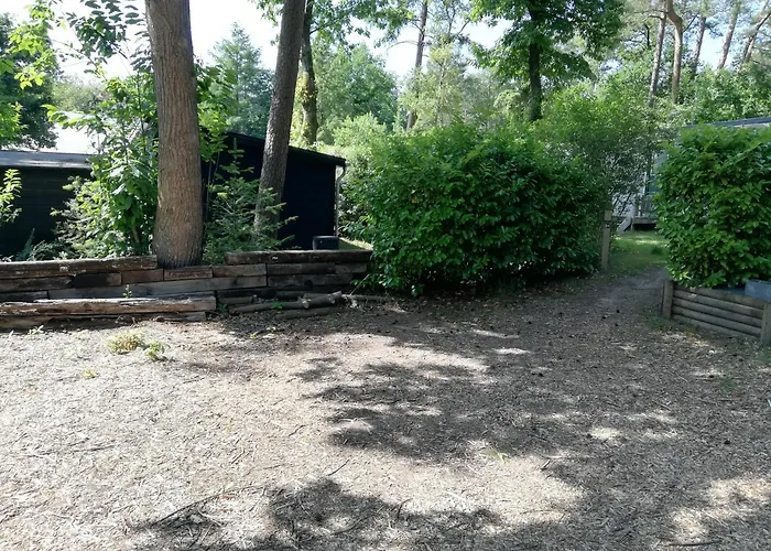 キャンプ場 Forrest In Bosrijke Omgeving De Veluwe - Met Terras, Tuin En Fietsschuurtje *