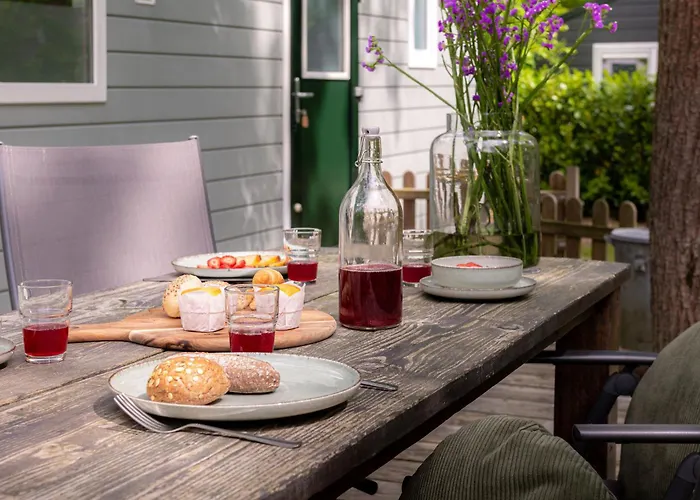 キャンプ場 Forrest In Bosrijke Omgeving De Veluwe - Met Terras, Tuin En Fietsschuurtje *