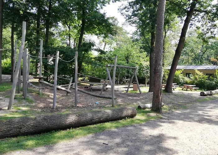 Forrest In Bosrijke Omgeving De Veluwe - Met Terras, Tuin En Fietsschuurtje