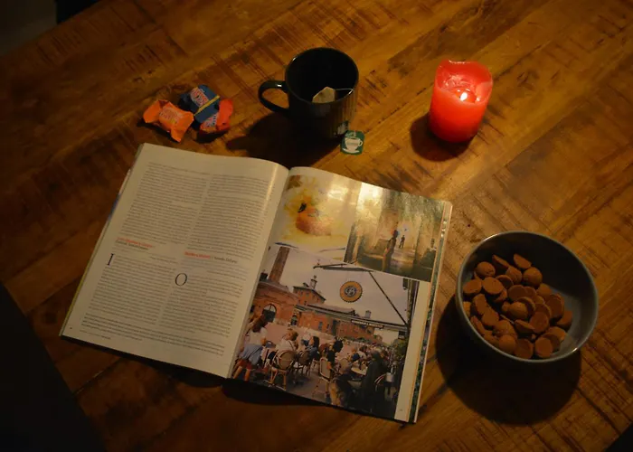 Forrest In Bosrijke Omgeving De Veluwe - Met Terras, Tuin En Fietsschuurtje * ヌンスペート