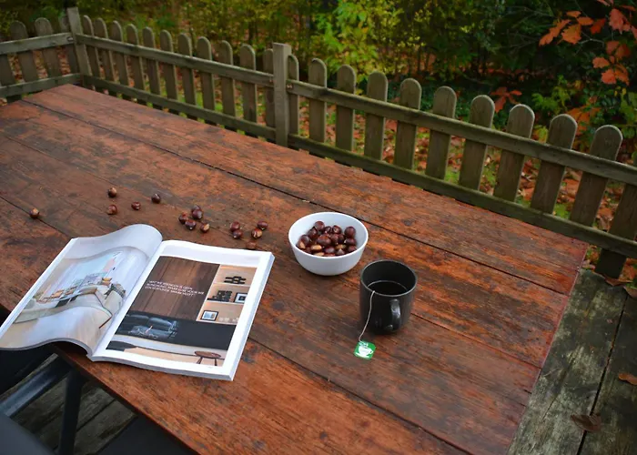 Forrest In Bosrijke Omgeving De Veluwe - Met Terras, Tuin En Fietsschuurtje *