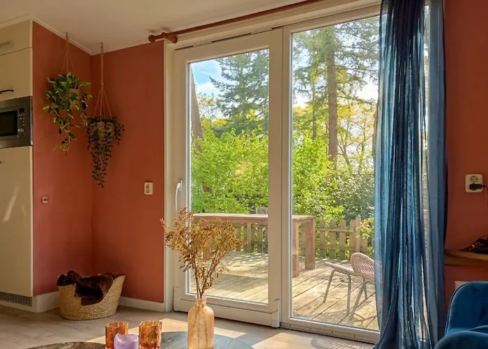 キャンプ場 Forrest In Bosrijke Omgeving De Veluwe - Met Terras, Tuin En Fietsschuurtje